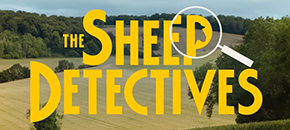 The words "THE SHEEP DETECTIVES" in large yellow font with a magnifying glass highlighting a sheep's head silhouette within the letter P of "SHEEP", set against a backdrop of rolling green hills and trees.