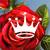 Movie Review :: Hallmark Channel’s Kentucky Roses